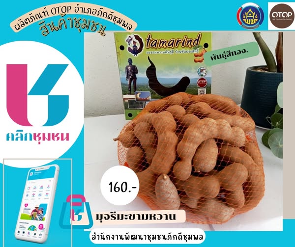 แนะนำสินค้า OTOP ใน Shop ชุมชน มะขามหวานสวนมุจรีมะขามหวาน